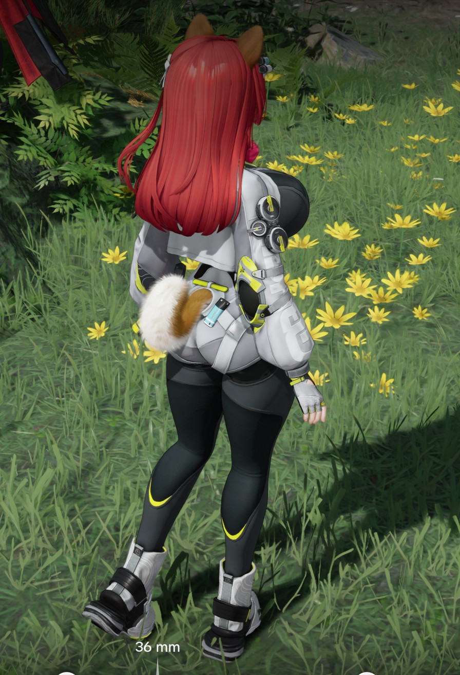 Curvier Akekuri预览图