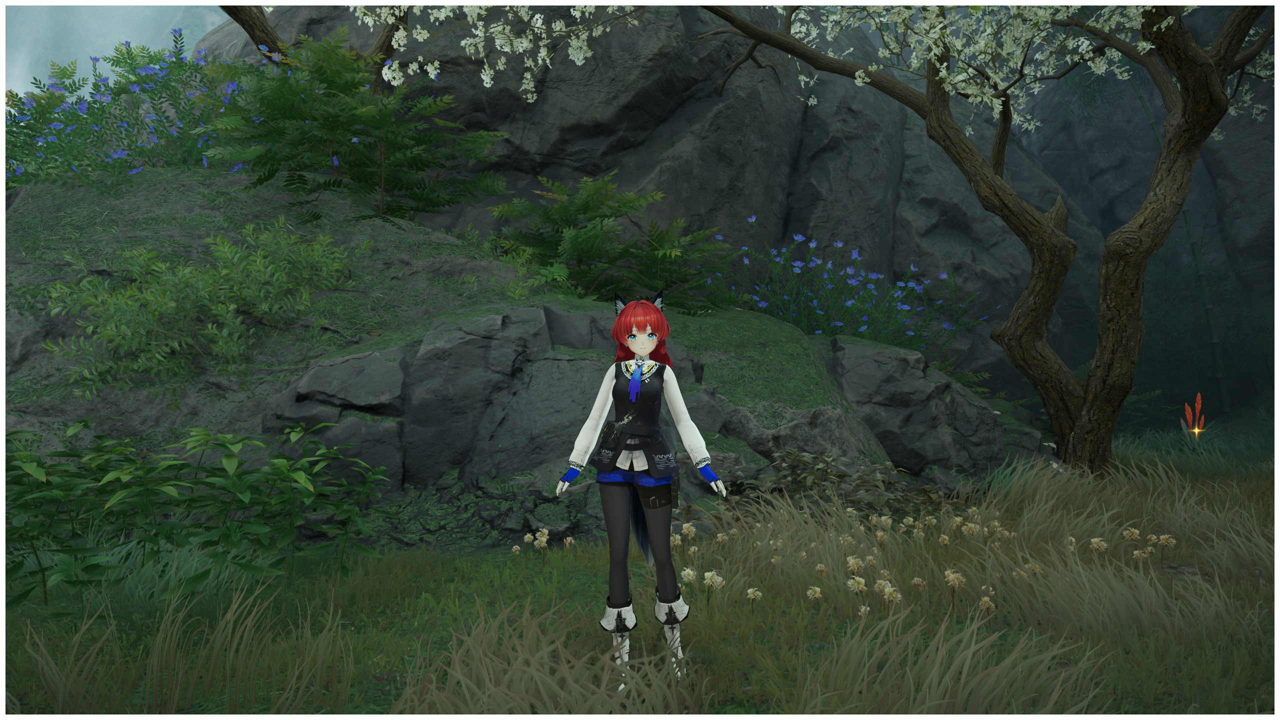 异德  Texas the Omertosa预览图