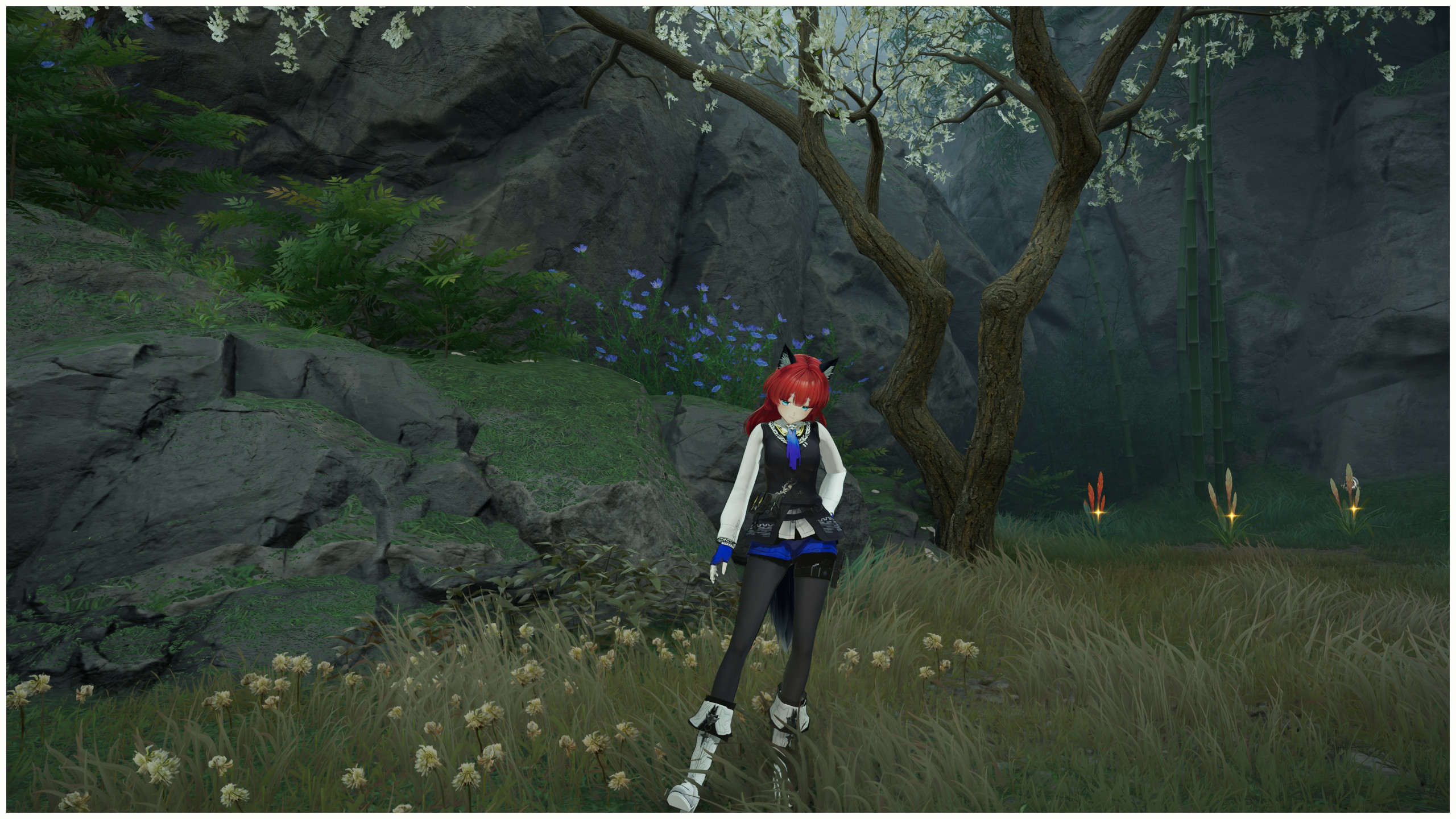 异德  Texas the Omertosa预览图